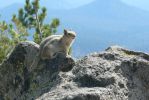 PICTURES/Mount Scott Hike - Crater Lake National Park/t_SQ6.JPG